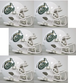 UNC Charlotte 49ers NCAA Mini Speed Football Helmet 6 count