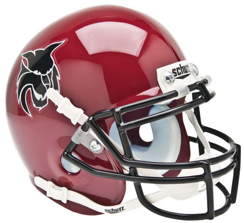 Central Washington Wildcats Mini XP Authentic Helmet Schutt