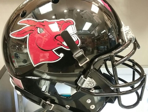 Central Missouri Mules Full XP Replica Football Helmet Schutt #16