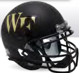 Wake Forest Demon Deacons Mini XP Authentic Helmet Schutt <B>Matte Black</B>