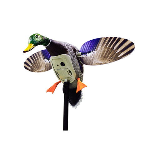 MOJO KING MALLARD