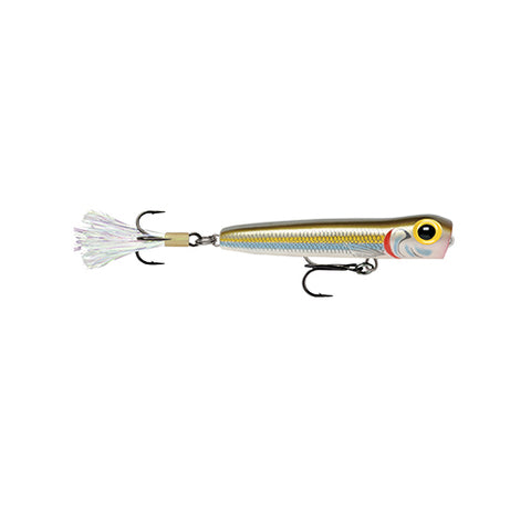 Chug Bug 06  Gizzard Shad